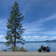 Image for article titled The 2020 Honda CB650R Is A Back-To-Basics Answer To Every Motorcycle Question